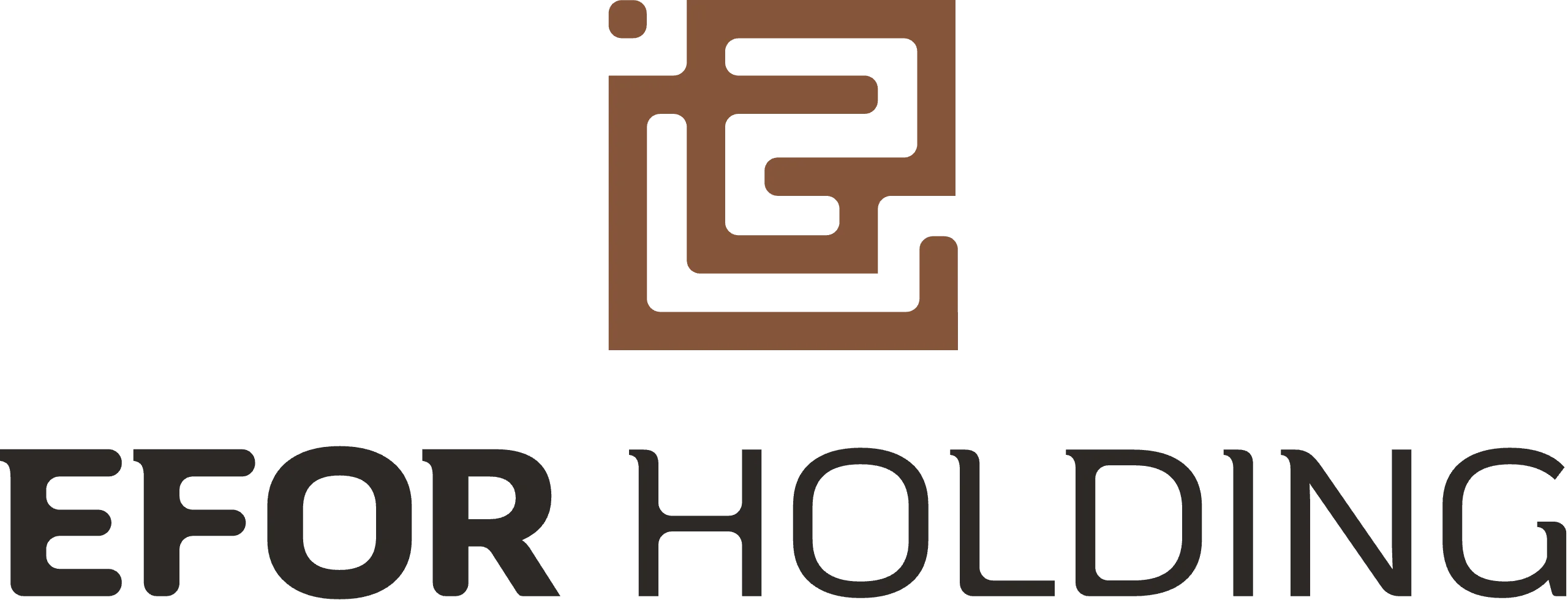 efor_holding_logo
